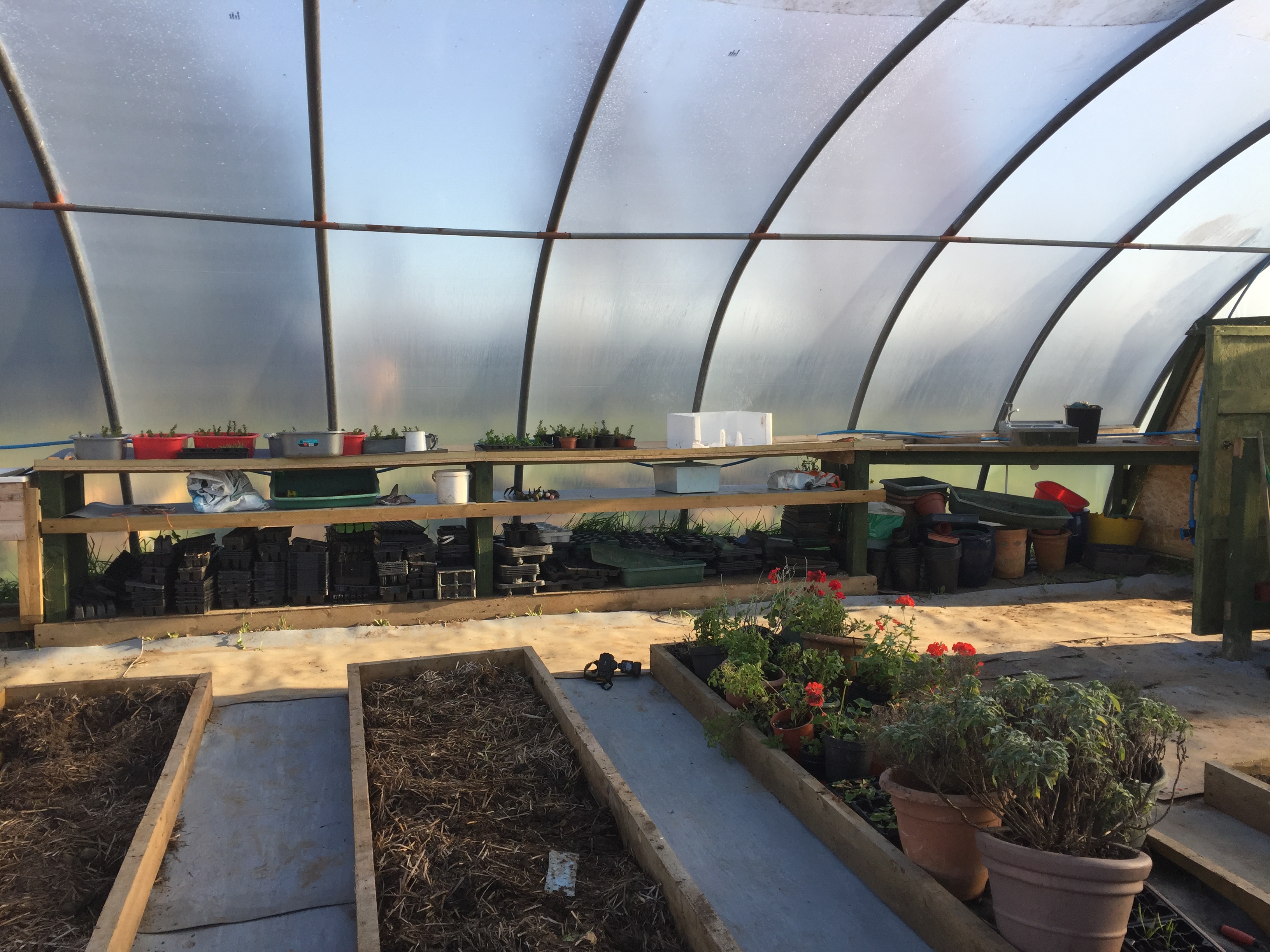 New polytunnel helps young people get their lives back on track ...