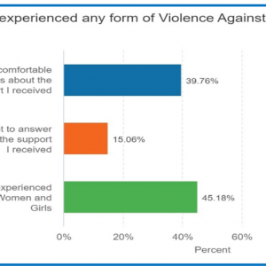 Bar chart - Experience of VAWG